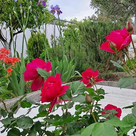 Tatil Evi Arhondia House *