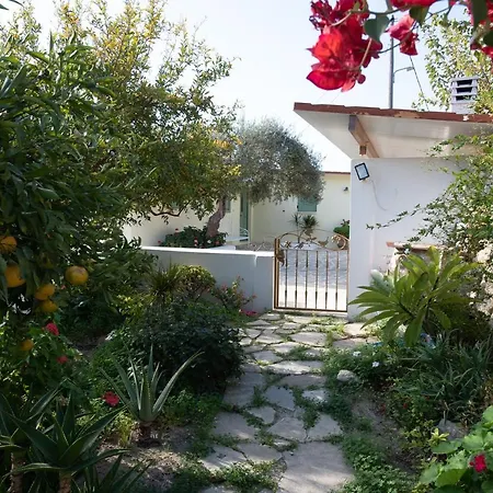 펜션 Arhondia House